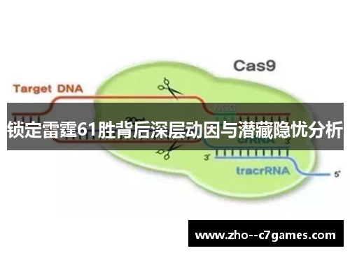 锁定雷霆61胜背后深层动因与潜藏隐忧分析