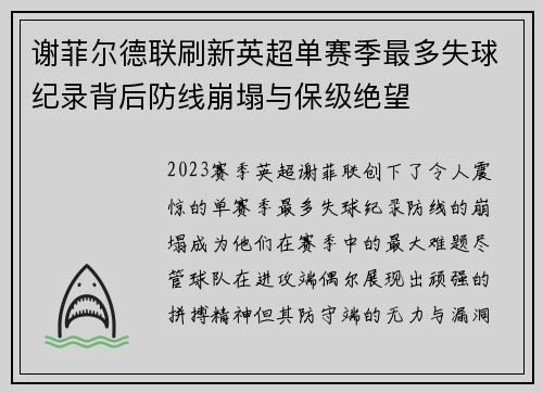 谢菲尔德联刷新英超单赛季最多失球纪录背后防线崩塌与保级绝望
